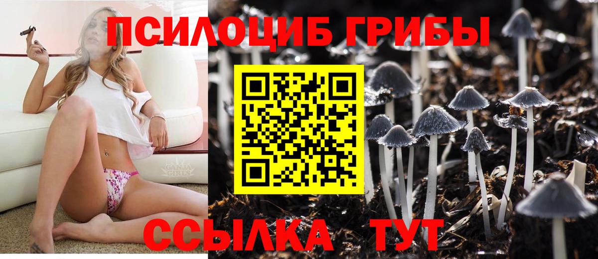 Псилоцибиновые грибы MAGIC MUSHROOMS  Галлюциногенные грибы Psilocybe  Вход с VPN  Топки 