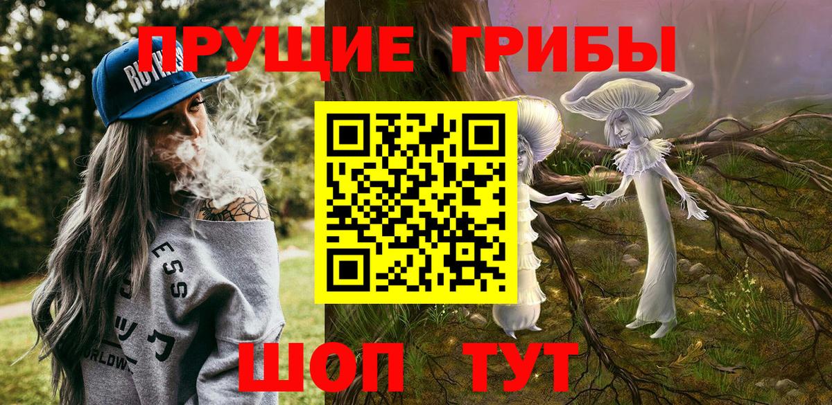 Псилоцибиновые грибы Psilocybine cubensis Топки